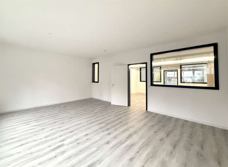 Lugano, ufficio di prestigio di 7 locali con vista lago panoramica (6)