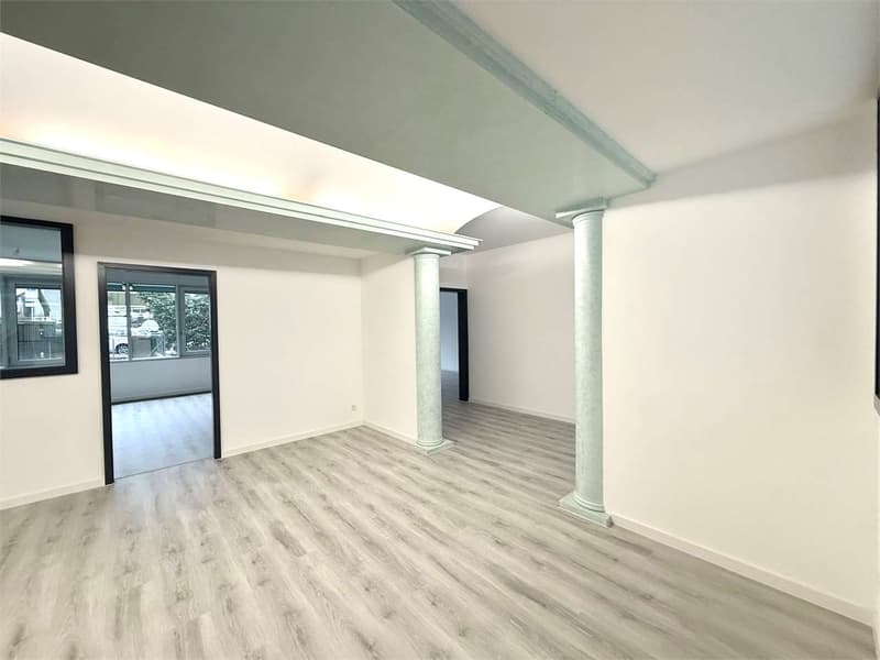 Lugano, ufficio di prestigio di 7 locali con vista lago panoramica (4)