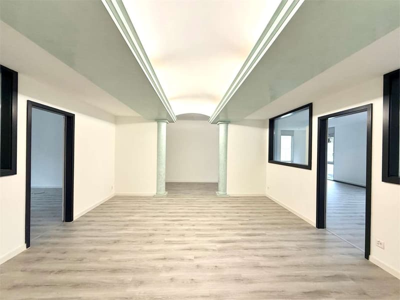 Lugano, ufficio di prestigio di 7 locali con vista lago panoramica (2)