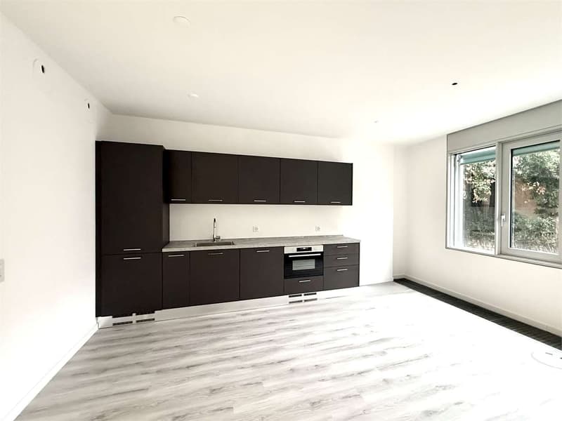 Lugano, ufficio di prestigio di 7 locali con vista lago panoramica (8)