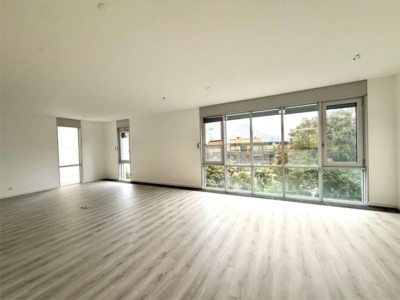 Lugano, ufficio di prestigio di 7 locali con vista lago panoramica (5)