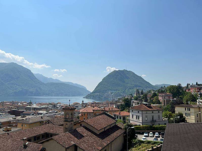 Lugano, ufficio di prestigio di 7 locali con vista lago panoramica (3)