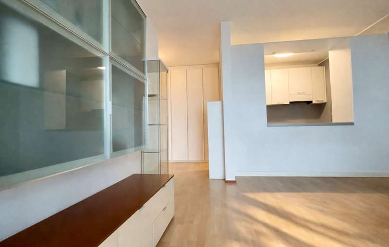 Appartamento vista lago con terrazza giardino (6)
