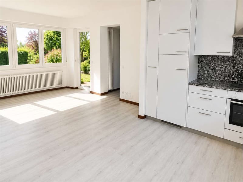 Spazioso appartamento di 4,5 locali in zona residenziale e tranquilla (1)