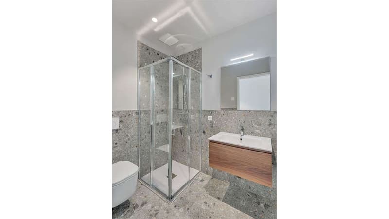 Lugano Breganzona, in affitto 2,5 moderno ammobiliato (6)