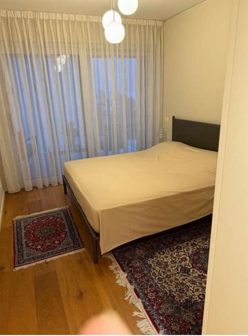 signorile 3,5 locali vista lago (7)