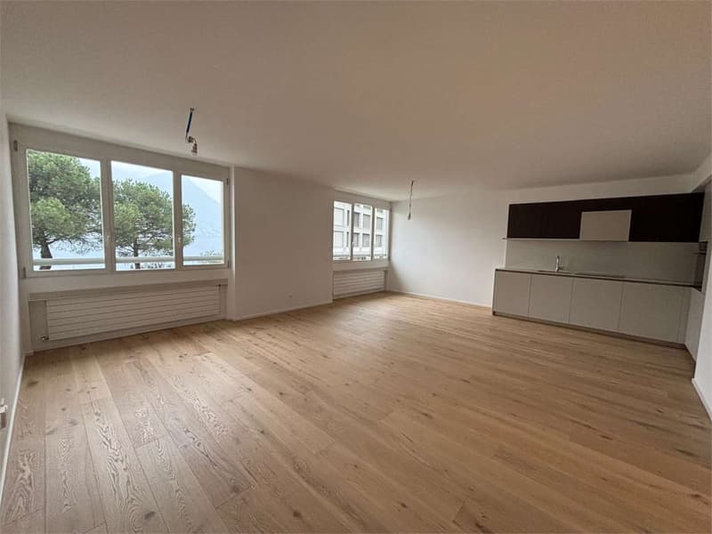 Paradiso appartamento 2,5 locali ristrutturato vista lago (2)