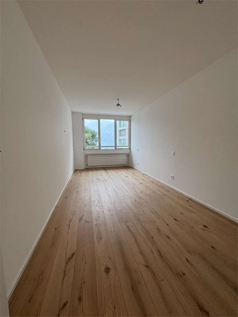 Paradiso appartamento 2,5 locali ristrutturato vista lago (3)