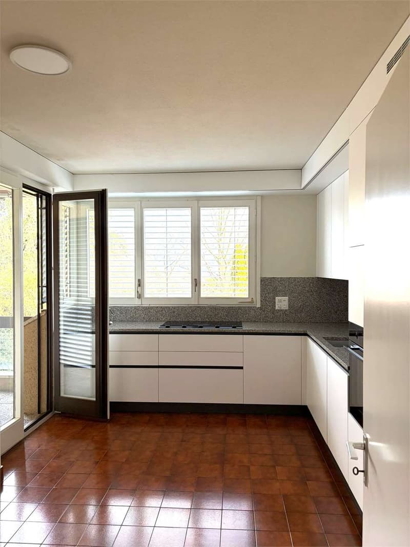 Gentilino ampio 5,5 locali con terrazzo (8)