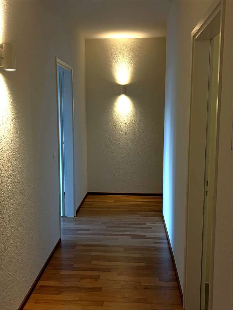 Gentilino ampio 5,5 locali con terrazzo (11)
