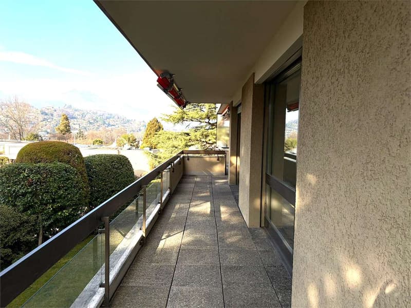 Gentilino ampio 5,5 locali con terrazzo (7)
