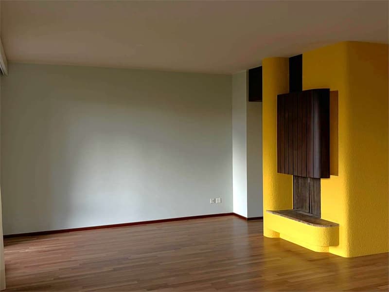 Gentilino ampio 5,5 locali con terrazzo (4)