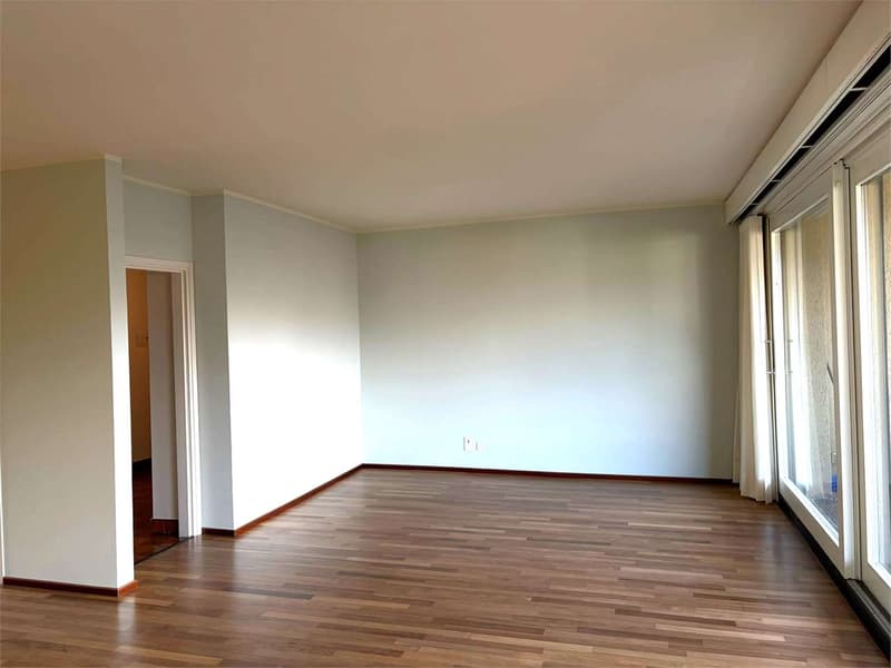Gentilino ampio 5,5 locali con terrazzo (13)