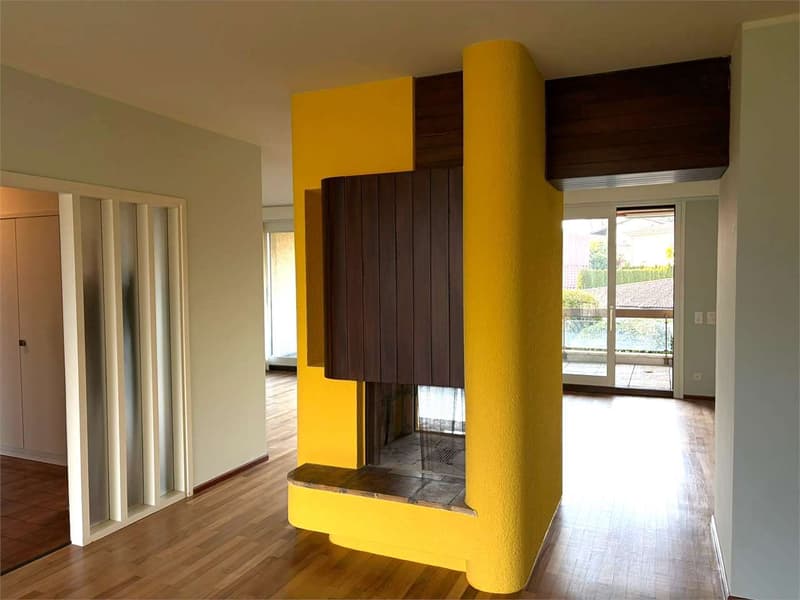 Gentilino ampio 5,5 locali con terrazzo (2)
