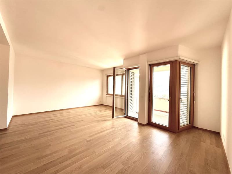 Ampio 4.5 locali con vista lago in posizione strategica a Lugano (2)