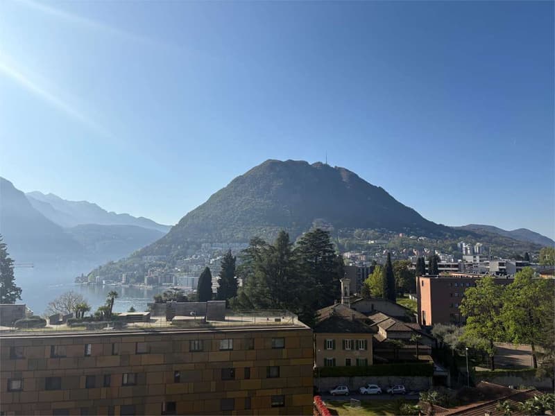 ampio 5,5 locali da ristrutturare (6)