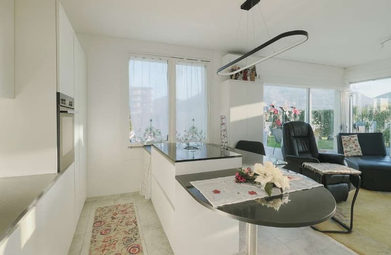 Elegante appartamento ampia terrazza e giardino privato (5)