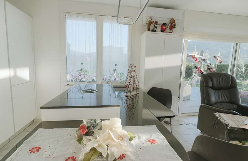 Elegante appartamento ampia terrazza e giardino privato (4)