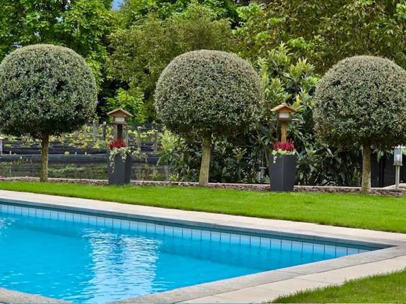 Esclusiva Villa con Piscina e Giardino nel Cuore Verde di Pura (9)