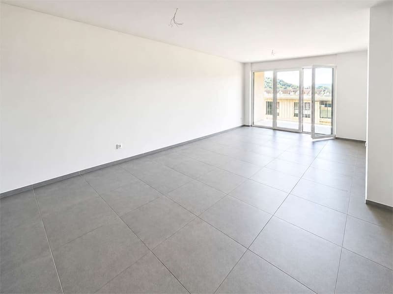 MODERNO 2.5 LOCALI CON TERRAZZO ALL'ULTIMO PIANO (7)