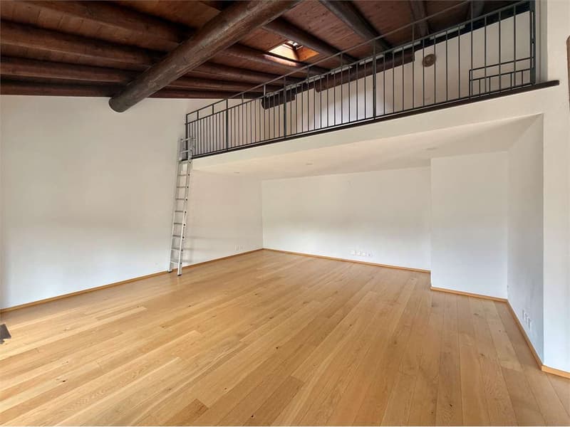 Appartamento attico di 5,5 locali con terrazzo e giardino privato ad O (7)