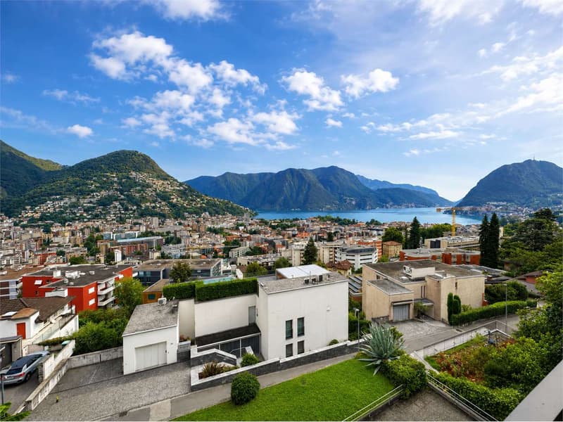 VISTA LAGO E TRANQUILLITÀ - 3.5 LOCALI (1)
