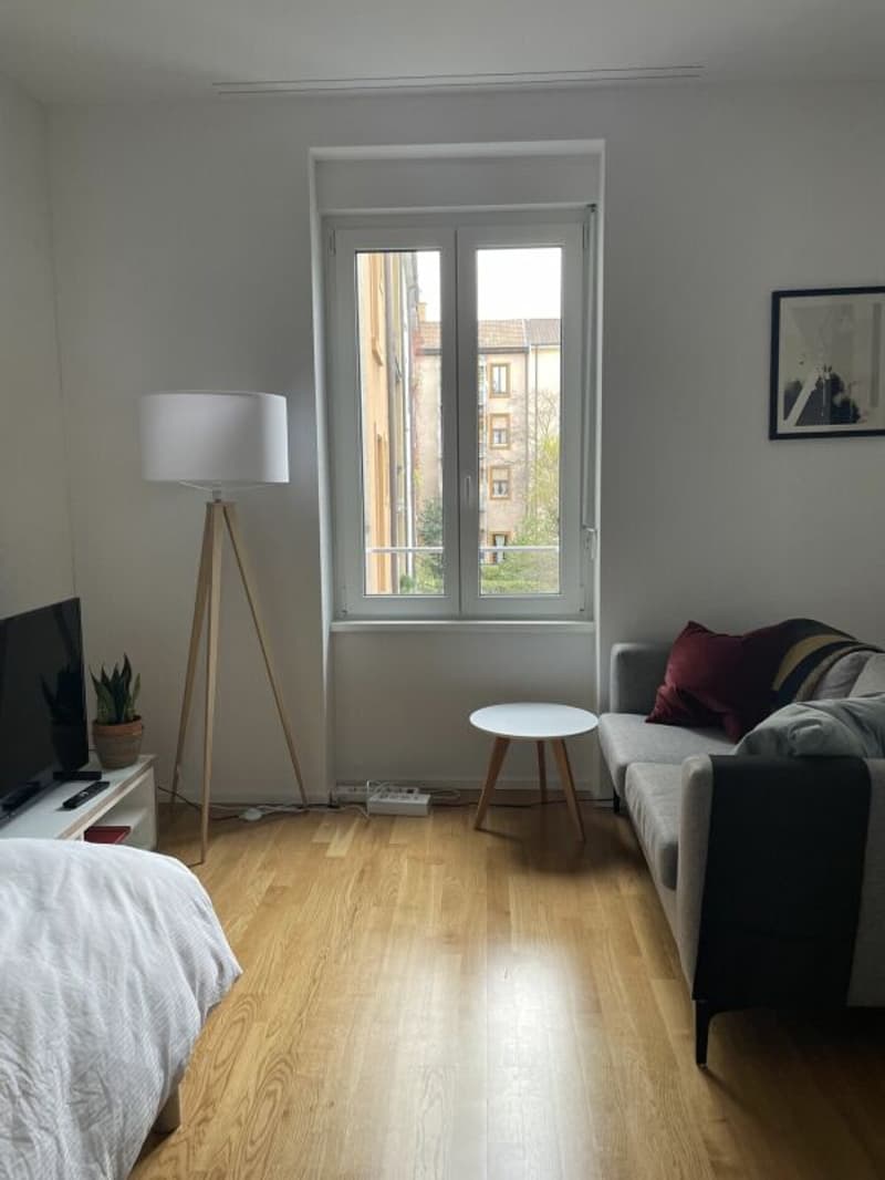Nouveaux appartements modernes de 1,5 pièces à Bâle (2)