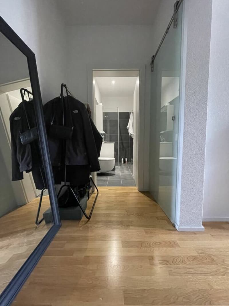 Nouveaux appartements modernes de 1,5 pièces à Bâle (5)