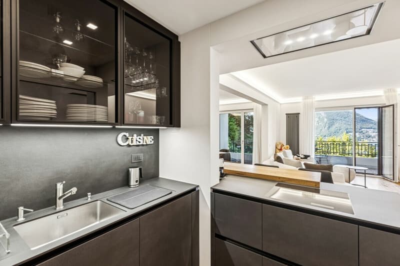 Appartement exclusif de 7,5 pièces à Castagnola avec vue sur le lac et les montagnes (2)