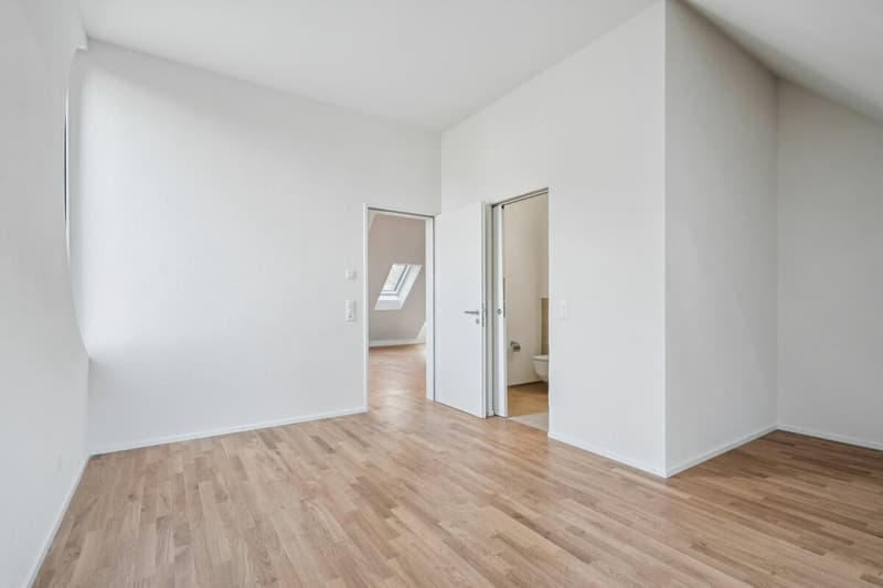 Letzte Chance: Exklusive Dachwohnung mit Dachterrasse (7)
