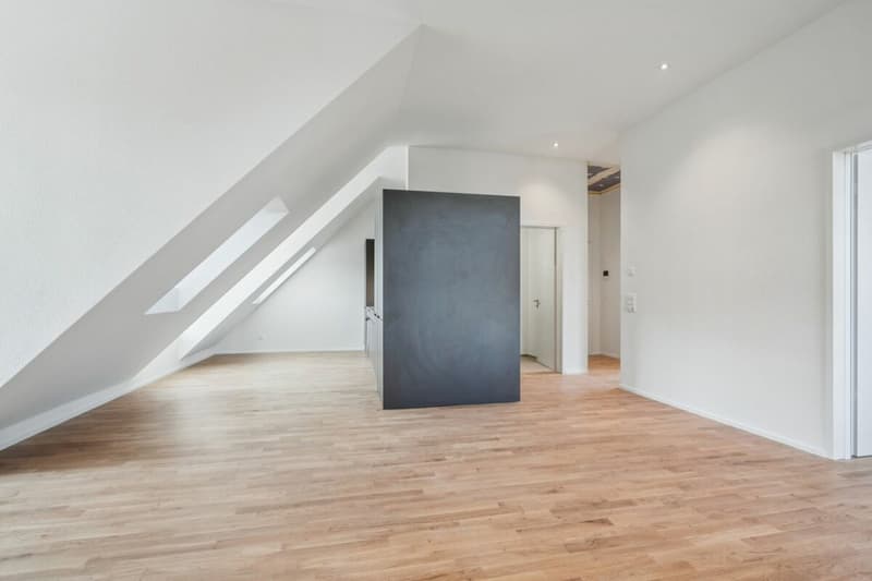 Letzte Chance: Exklusive Dachwohnung mit Dachterrasse (5)