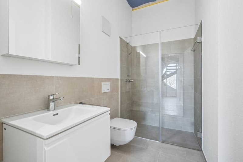 Letzte Chance: Exklusive Dachwohnung mit Dachterrasse (9)