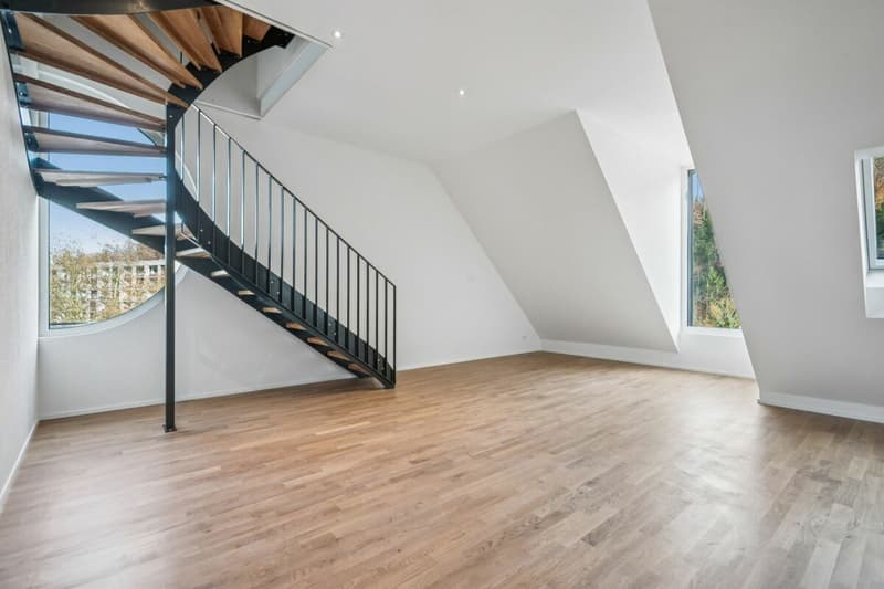 Letzte Chance: Exklusive Dachwohnung mit Dachterrasse (3)