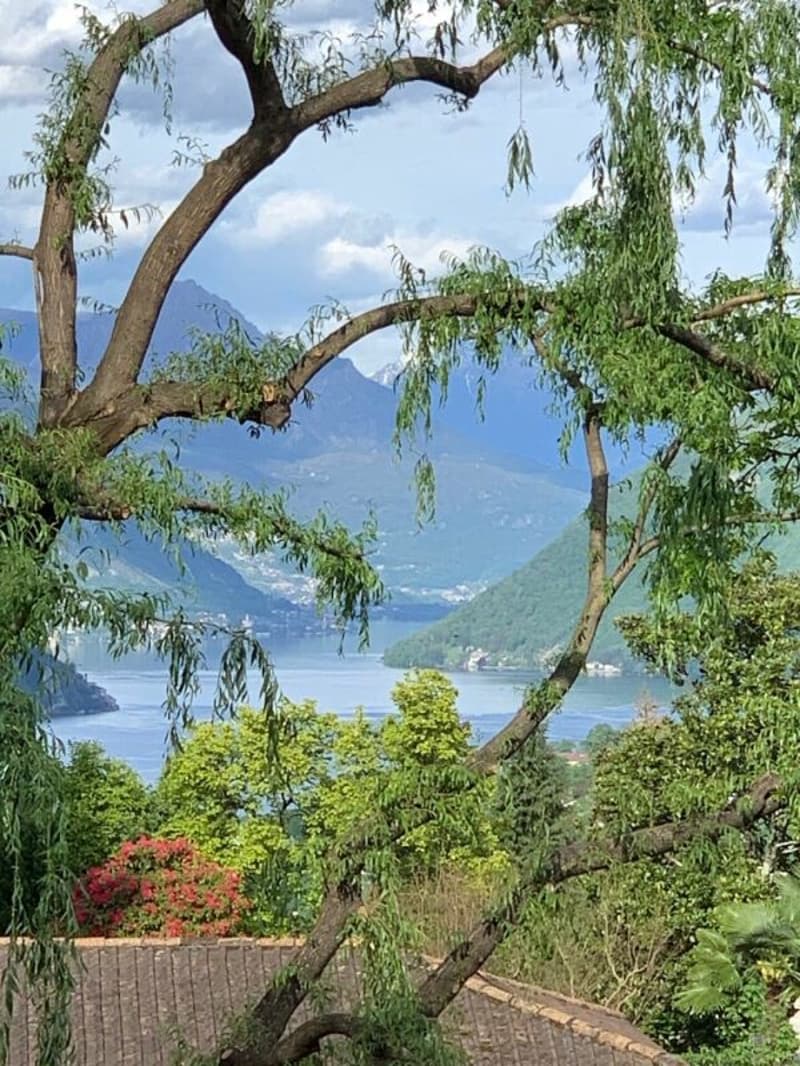 Elegante Villa di Prestigio Immersa nel Verde a Due Passi dalla TASIS (6)