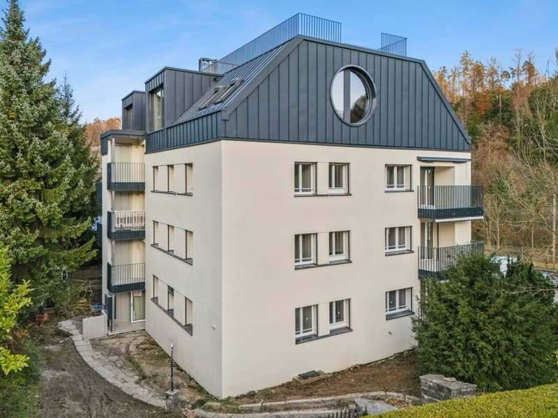 Erstbezug: Letzte 3.5-Zimmer Wohnung Kreis 2 (2)