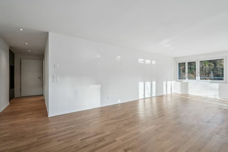 Erstbezug: Letzte 3.5-Zimmer Wohnung Kreis 2 (6)