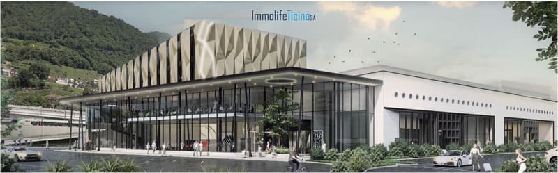Locarnese : ULTIMA DISPONIBILITA' superfici retails - centro commerciale - altissima visibilità! (2)