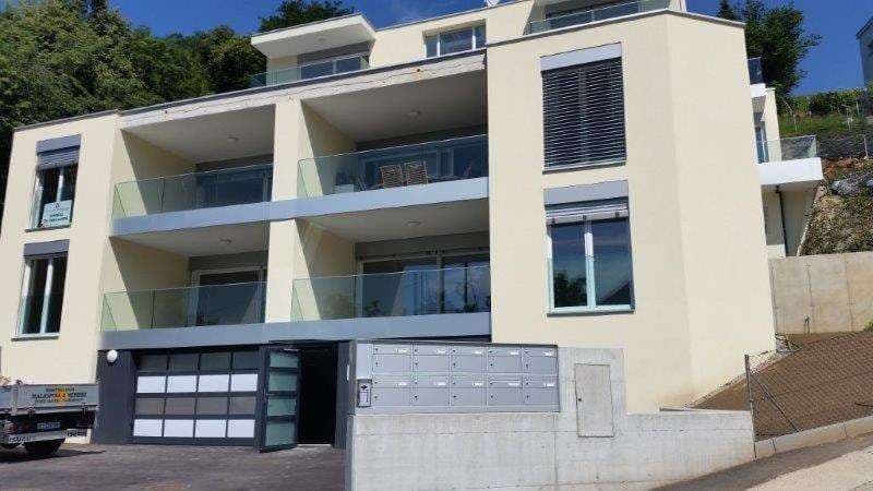 Appartamento 3.5 loc. con terrazza e giardino (2)