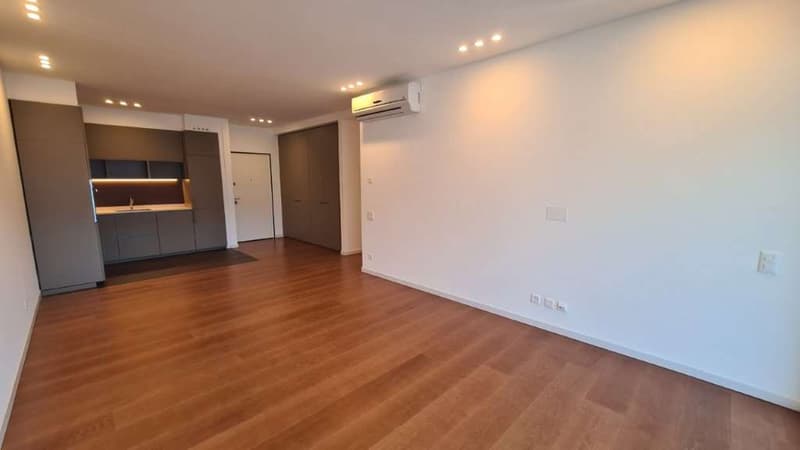 BISSONE: RAFFINATO 2,5 LOCALI CON VISTA LAGO (3)