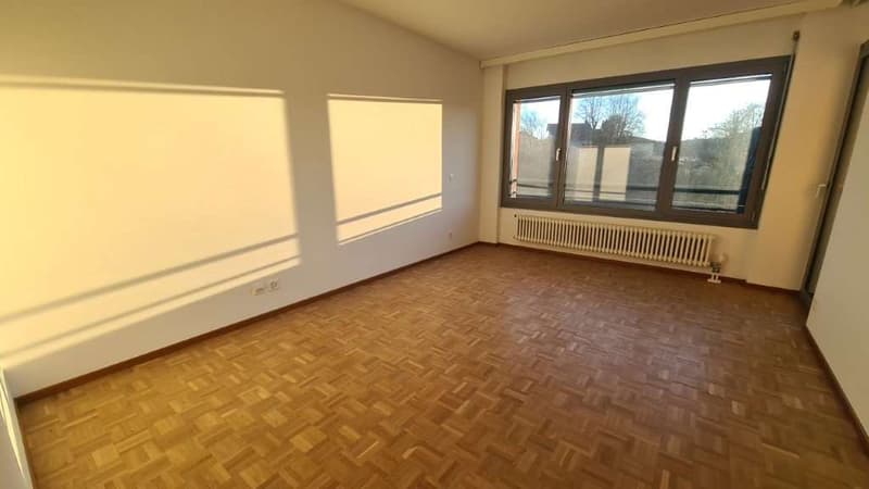 APPARTAMENTI 3,5 LOCALI RISTRUTTURATI (5)