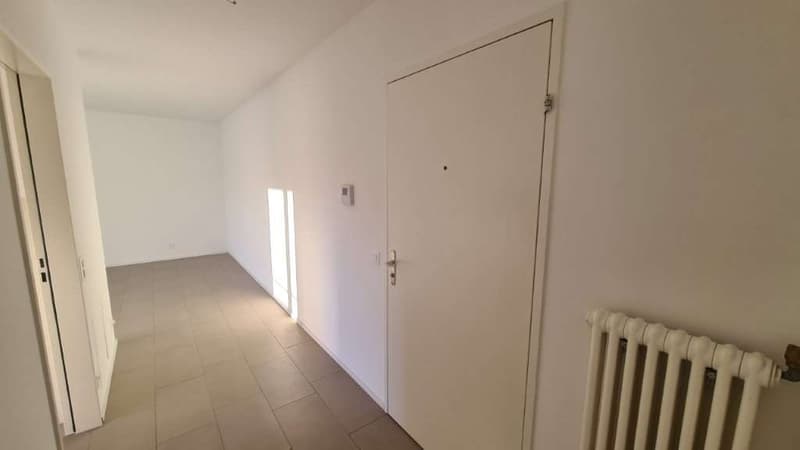 APPARTAMENTI 3,5 LOCALI RISTRUTTURATI (8)