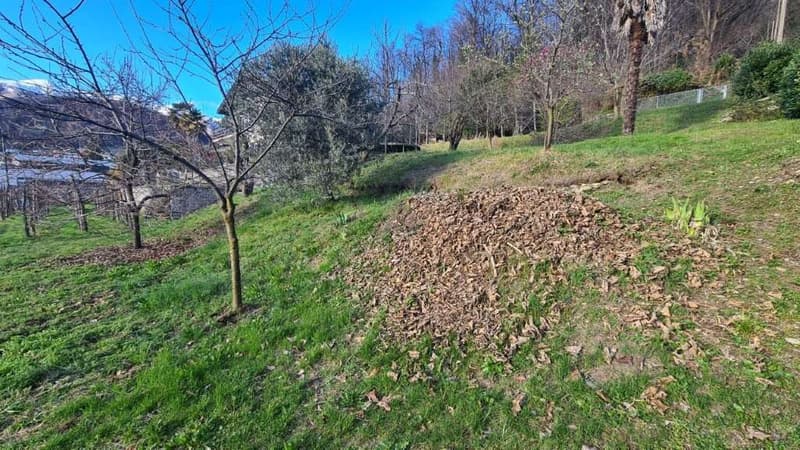 Curio: terreno edificabile in zona panoramica (3)