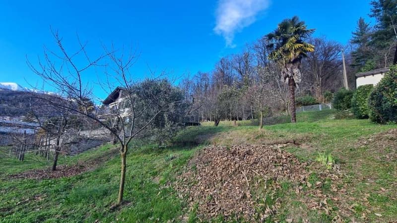 Curio: terreno edificabile in zona panoramica (2)