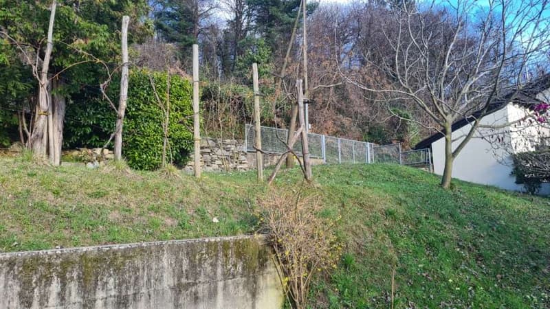 Curio: terreno edificabile in zona panoramica (4)