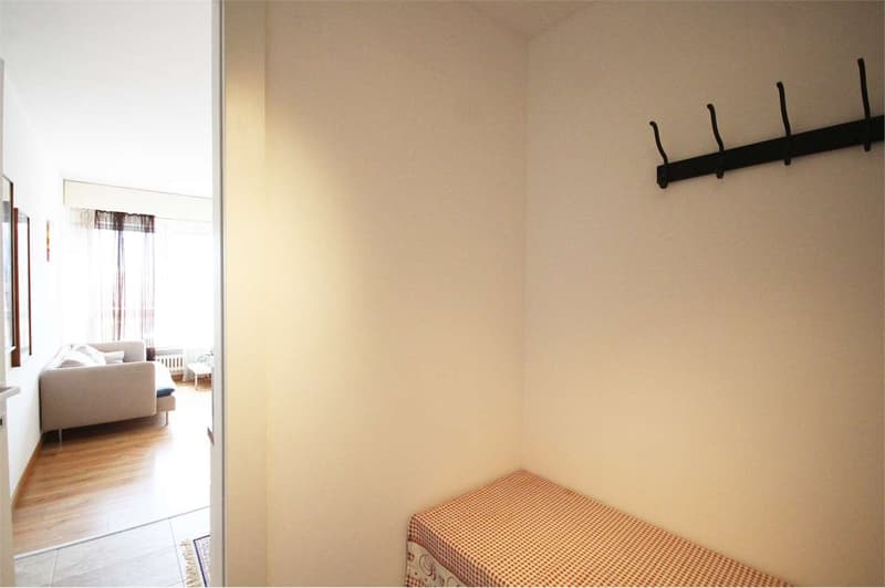 Lugano: attico rinnovato con vista aperta (6)