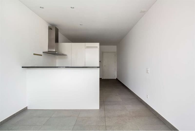 Mendrisio: luminoso 2,5 loc. su due livelli in centro storico (4)
