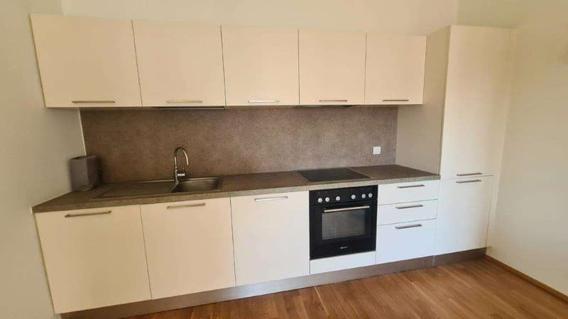 CHIASSO CENTRO: APPARTAMENTI RINNOVATI DA 2.5 A 4.5 LOC. (4)