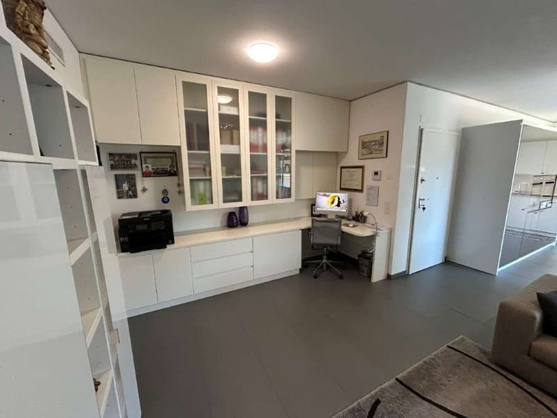 LUGANO: MODERNO 4.5 LOC. CON AMPIO TERRAZZO (10)