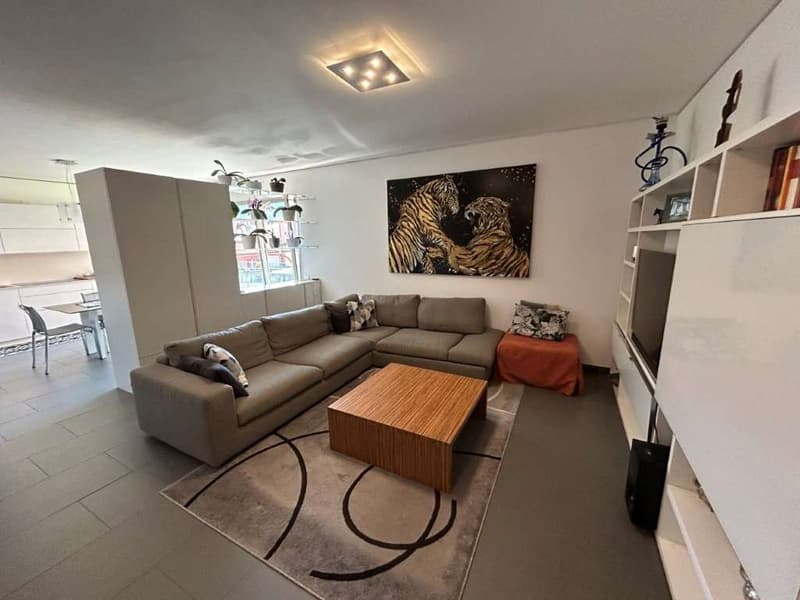 LUGANO: MODERNO 4.5 LOC. CON AMPIO TERRAZZO (8)