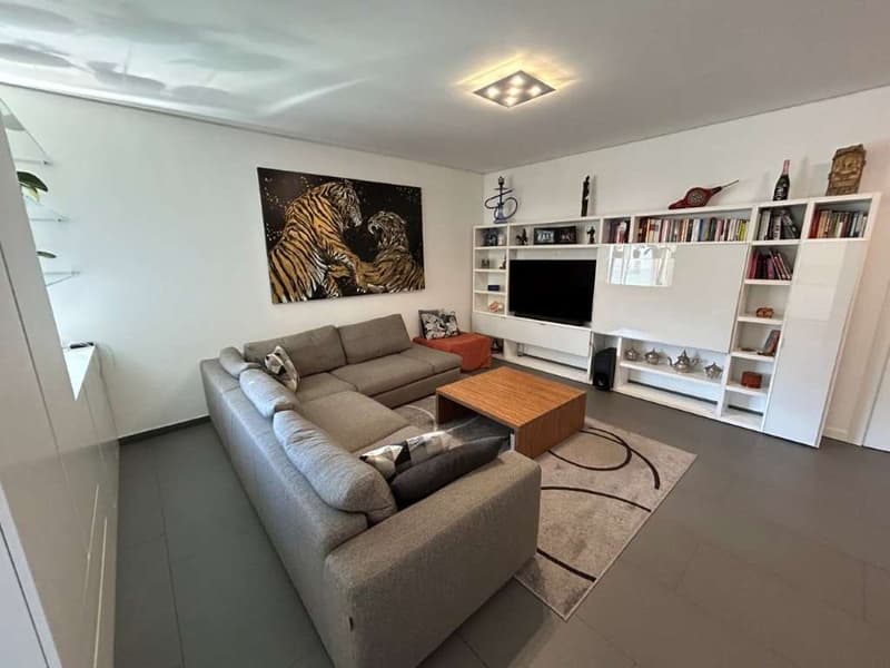 LUGANO: MODERNO 4.5 LOC. CON AMPIO TERRAZZO (9)